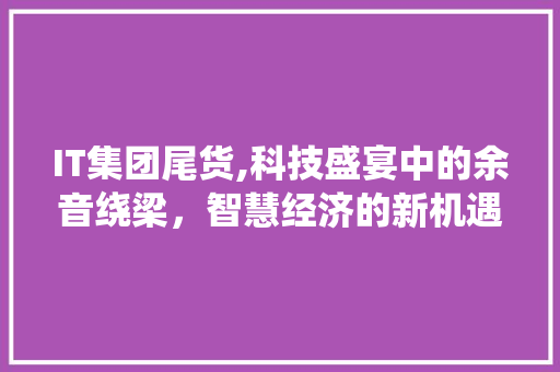 IT集团尾货,科技盛宴中的余音绕梁,智慧经济的新机遇 IT集团尾货,科技盛宴中的余音绕梁,智慧经济的新机遇