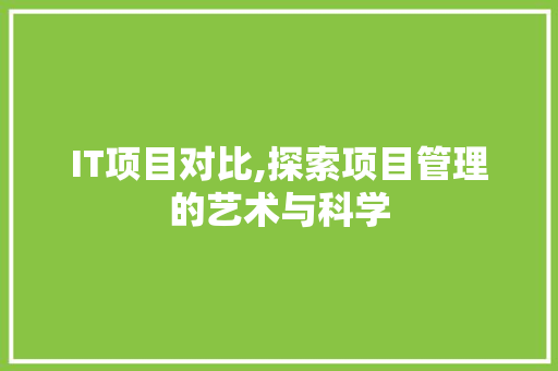 IT项目对比,探索项目管理的艺术与科学 SEO教程