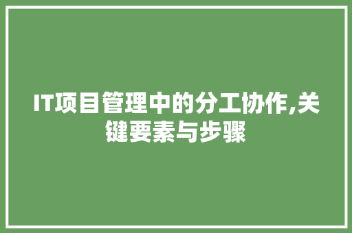 IT项目管理中的分工协作,关键要素与步骤