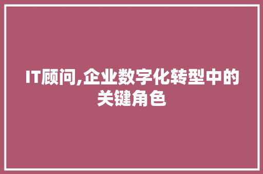 IT顾问,企业数字化转型中的关键角色