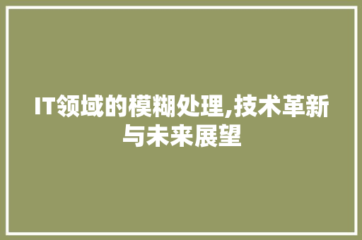 IT领域的模糊处理,技术革新与未来展望