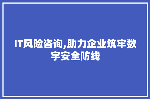 IT风险咨询,助力企业筑牢数字安全防线 SEO教程