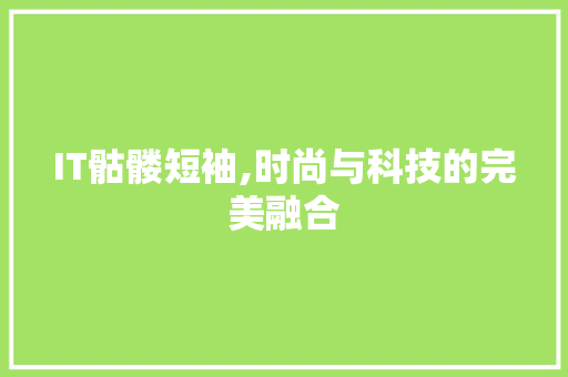 IT骷髅短袖,时尚与科技的完美融合 服务器/数据库