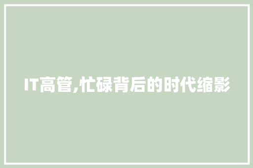 IT高管,忙碌背后的时代缩影