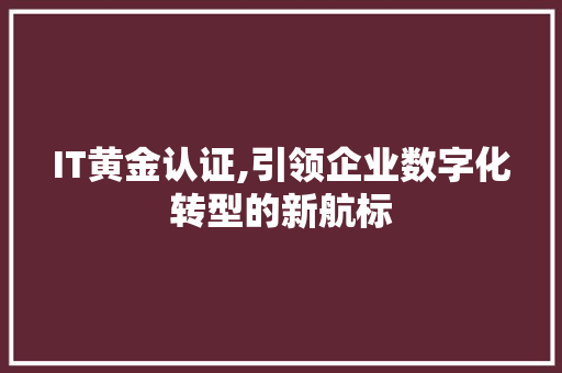 IT黄金认证,引领企业数字化转型的新航标 SEO教程