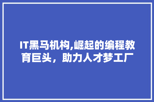 IT黑马机构,崛起的编程教育巨头，助力人才梦工厂 服务器/数据库