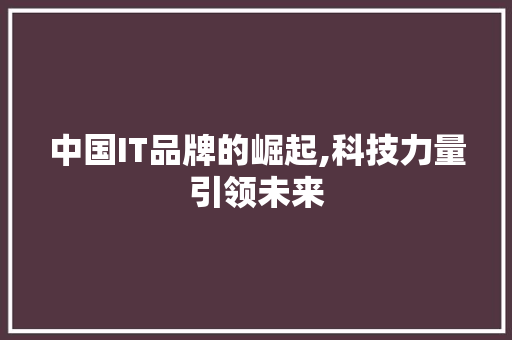 中国IT品牌的崛起,科技力量引领未来 SEO教程