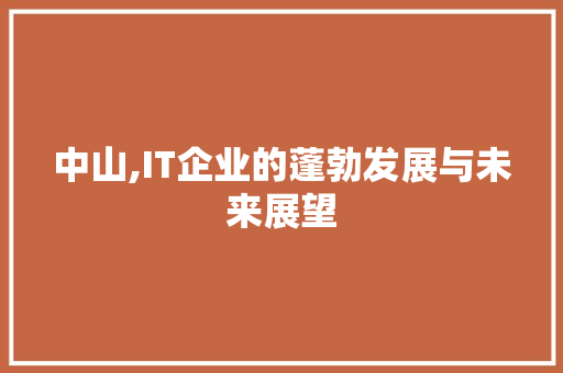 中山,IT企业的蓬勃发展与未来展望