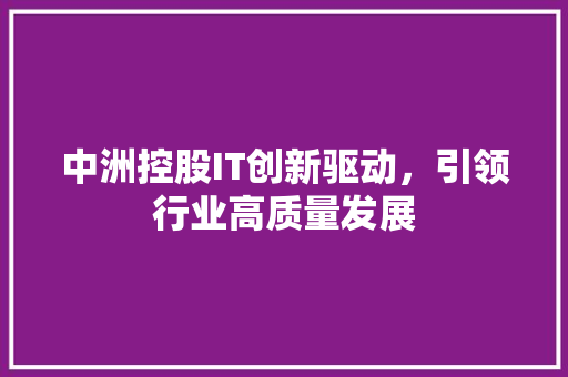 中洲控股IT创新驱动，引领行业高质量发展
