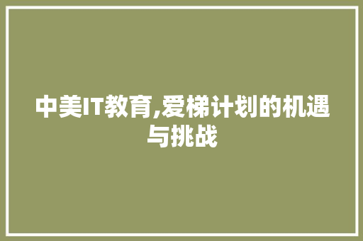 中美IT教育,爱梯计划的机遇与挑战