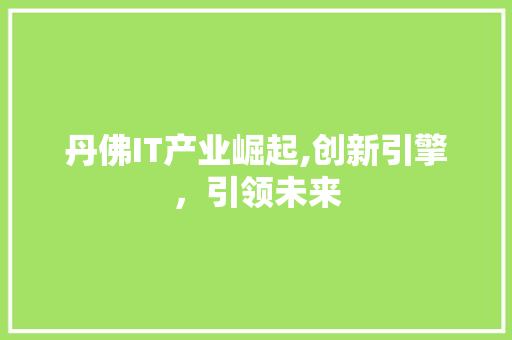 丹佛IT产业崛起,创新引擎，引领未来