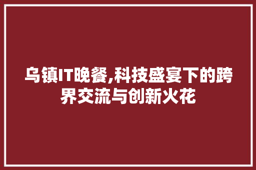 乌镇IT晚餐,科技盛宴下的跨界交流与创新火花