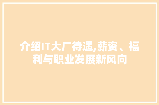 介绍IT大厂待遇,薪资、福利与职业发展新风向 WordPress教程