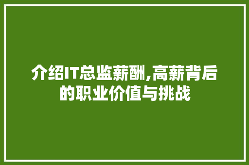 介绍IT总监薪酬,高薪背后的职业价值与挑战