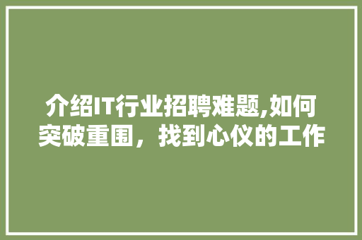 介绍IT行业招聘难题,如何突破重围，找到心仪的工作
