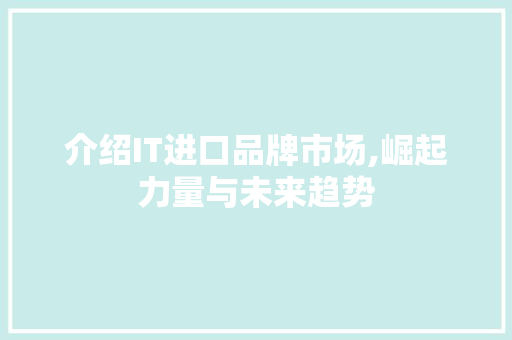 介绍IT进口品牌市场,崛起力量与未来趋势