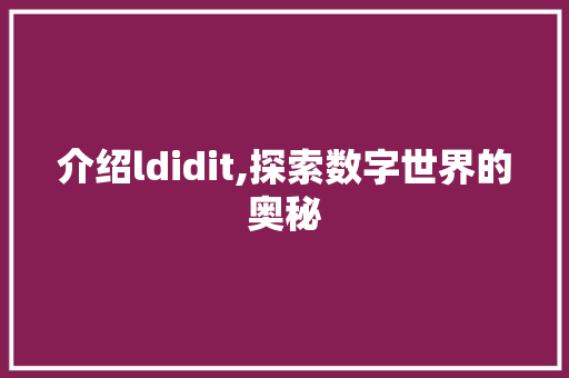 介绍ldidit,探索数字世界的奥秘 WordPress教程