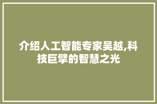 介绍人工智能专家吴越,科技巨擘的智慧之光 WordPress教程