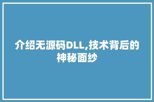 介绍无源码DLL,技术背后的神秘面纱