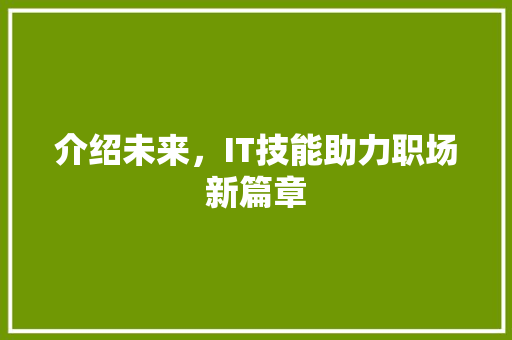 介绍未来，IT技能助力职场新篇章 SEO教程