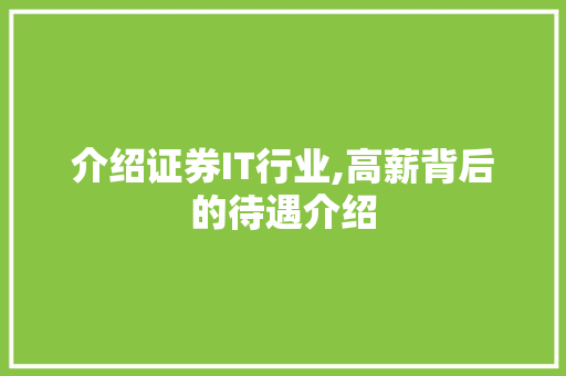 介绍证券IT行业,高薪背后的待遇介绍