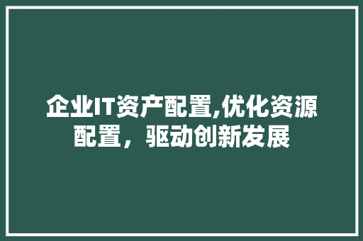 企业IT资产配置,优化资源配置，驱动创新发展