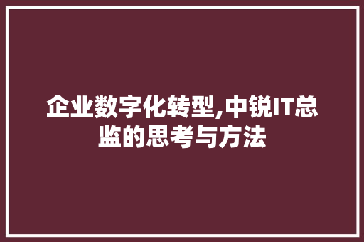 企业数字化转型,中锐IT总监的思考与方法