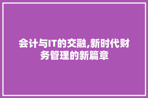 会计与IT的交融,新时代财务管理的新篇章