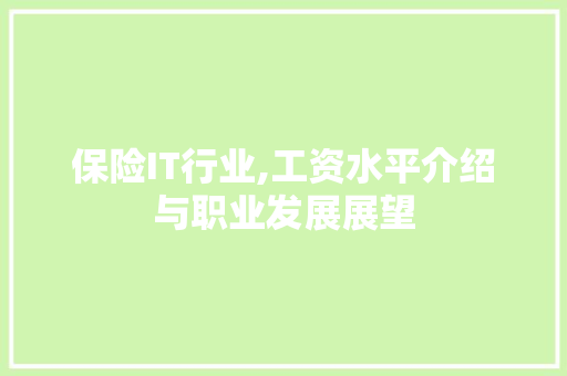 保险IT行业,工资水平介绍与职业发展展望