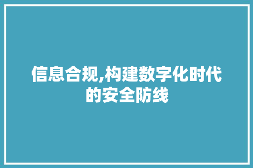 信息合规,构建数字化时代的安全防线