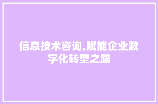信息技术咨询,赋能企业数字化转型之路 建站教程