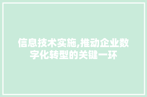 信息技术实施,推动企业数字化转型的关键一环