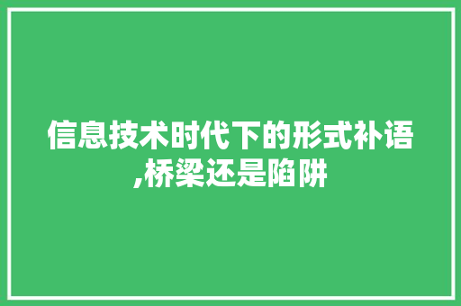信息技术时代下的形式补语,桥梁还是陷阱