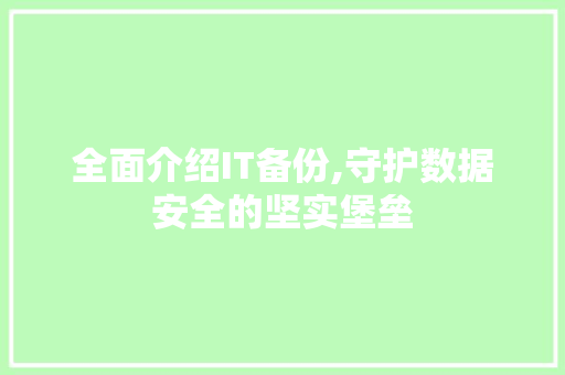 全面介绍IT备份,守护数据安全的坚实堡垒