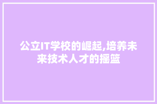 公立IT学校的崛起,培养未来技术人才的摇篮