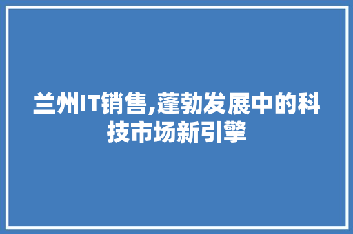 兰州IT销售,蓬勃发展中的科技市场新引擎