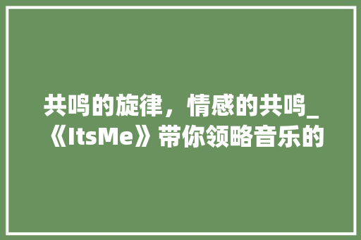 共鸣的旋律，情感的共鸣_《ItsMe》带你领略音乐的力量 Web前端