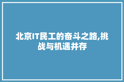 北京IT民工的奋斗之路,挑战与机遇并存