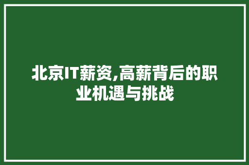 北京IT薪资,高薪背后的职业机遇与挑战
