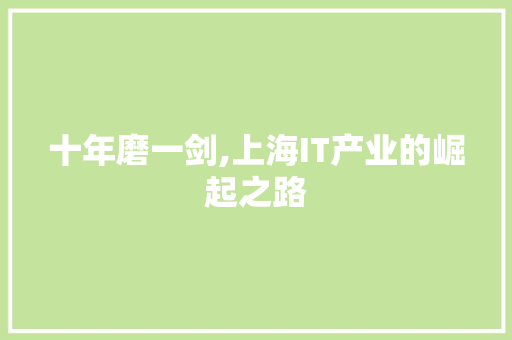 十年磨一剑,上海IT产业的崛起之路