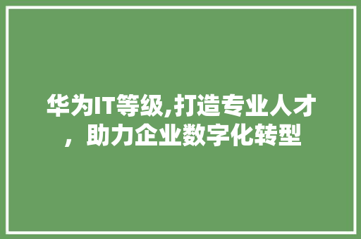 华为IT等级,打造专业人才，助力企业数字化转型 WordPress教程