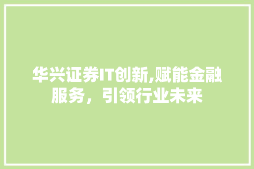 华兴证券IT创新,赋能金融服务，引领行业未来