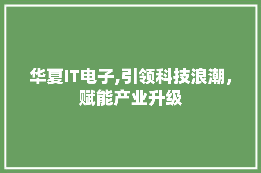 华夏IT电子,引领科技浪潮，赋能产业升级