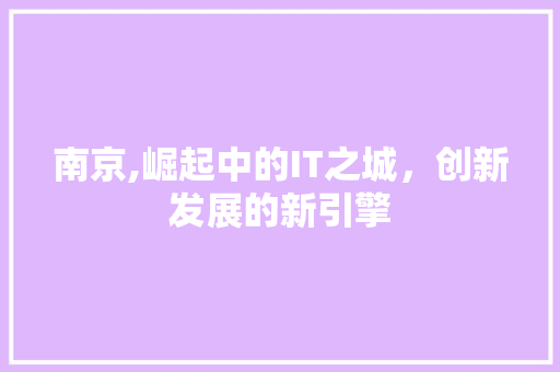 南京,崛起中的IT之城，创新发展的新引擎 建站教程