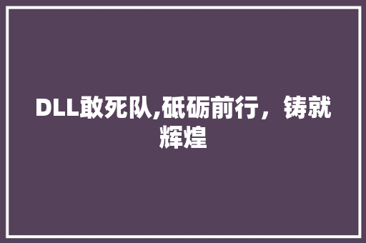 DLL敢死队,砥砺前行，铸就辉煌