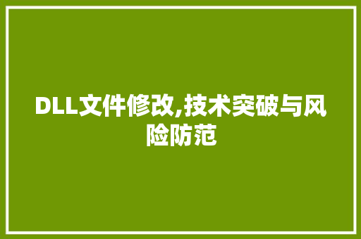 DLL文件修改,技术突破与风险防范 SEO教程