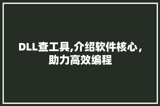 DLL查工具,介绍软件核心，助力高效编程 服务器/数据库