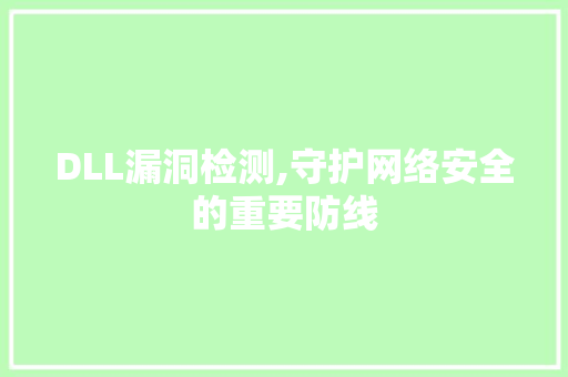 DLL漏洞检测,守护网络安全的重要防线 友链在线