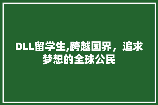 DLL留学生,跨越国界，追求梦想的全球公民