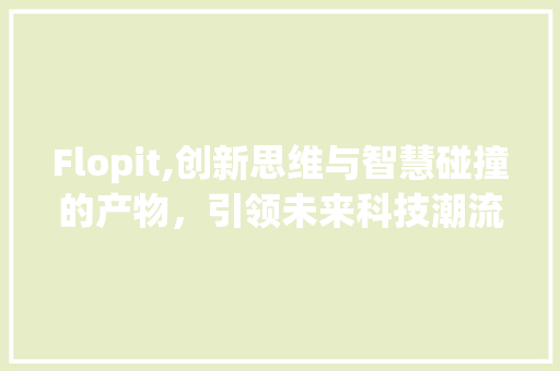 Flopit,创新思维与智慧碰撞的产物，引领未来科技潮流